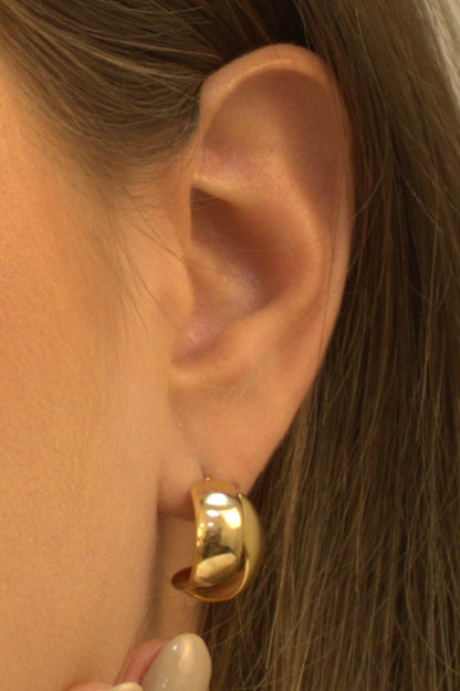 Brinco Meia Argola Cecilia